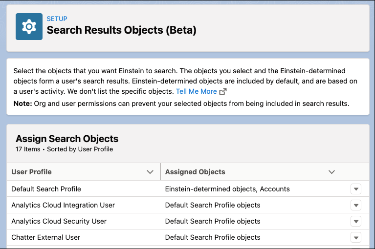 The Search Results Objects page in Setup