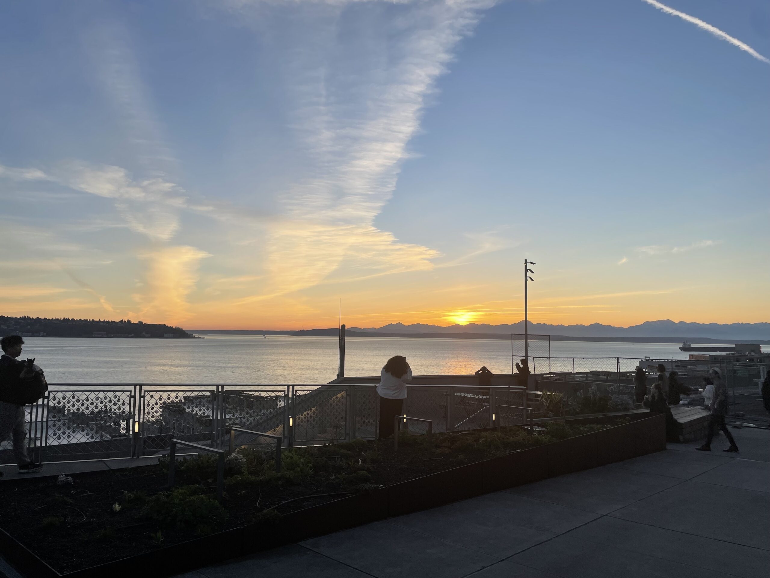 sunset over the coastline